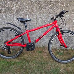Frog Bike - 62