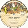 Peter Gabriel - Peter Gabriel Numbered Limited Edition Remastered 2 x Vinyl LP Image 4