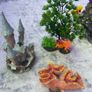 Aquarium Ornaments Image 3