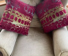cushions x 2