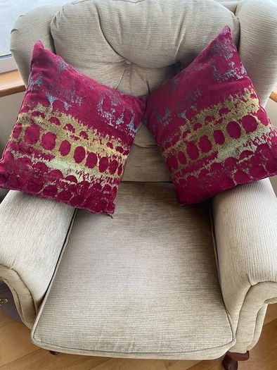 cushions x 2