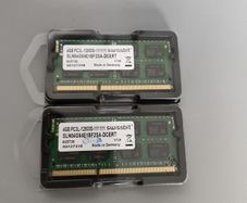 2 x Swissbit 4Gb PC3 Ram