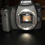Canon EOS 6D IR Converted Image 5