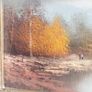 PRICE DROP Oil on canvas, Autumn scene in gilted frame 12" X  10" Image 3