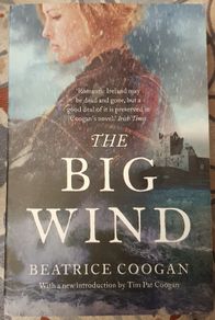 The Big Wind by Beatrice Coogan