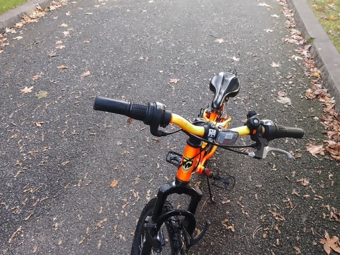 Team Kids Bicycle