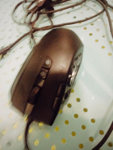 EVGA X15 professional Gaming Mouse
