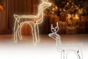 Affordable Reindeer with LED Bulbs for Christmas Decoration