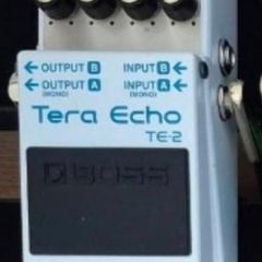 Boss Tera Echo Te-2
