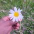 sayyd_barry
