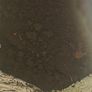 Top Soil Image 7