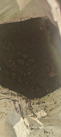 Top Soil