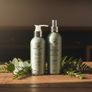Dog Grooming Bundle to Reduce Shedding  Shampoo + Dry Spray Image 2
