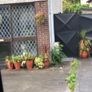 Standard  basic side entrance gate 550.  Priced depending on style of gate. Repair of is existing gates. Image 3