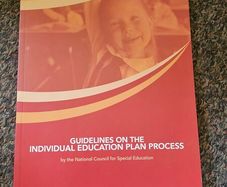 NCSE Guidelines on the Individual Education Plan Process