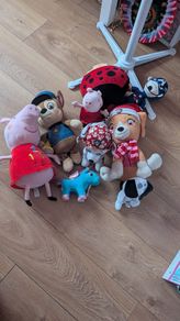 teddies