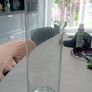 vases Image 2