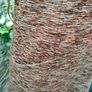 Vintage 70s  Brown Riedinger Double Jersey autumnal dress Postage Included Image 7