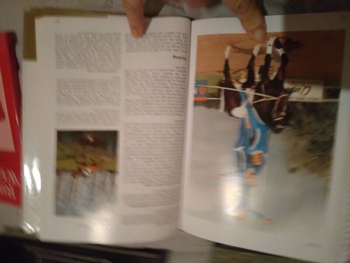 Horse / Equestrian Books