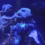 Fish tank Image 3
