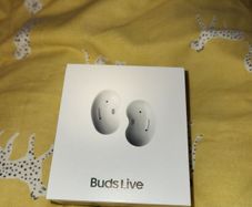 Samsung Galaxy earbuds