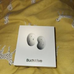 Samsung Galaxy earbuds