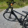 Ladies/ gents bicycle . Image 5