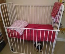 Toddler Cot