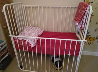 Toddler Cot