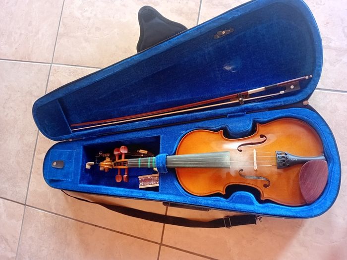 Stentor Violin