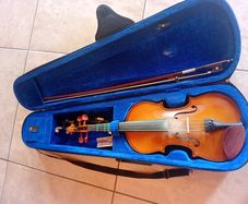 Stentor Violin