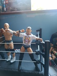 WWE action Figures