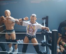 WWE action Figures