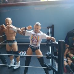WWE action Figures
