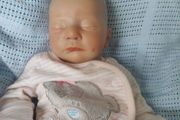 reborn doll