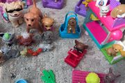 Barbie pet themed collection