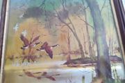 FRAMED A foil Print Pictures Ducks Woodlands Pond