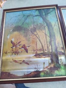 FRAMED A foil Print Pictures Ducks Woodlands Pond