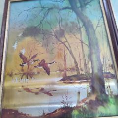 FRAMED A foil Print Pictures Ducks Woodlands Pond