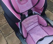 Nanie Mickey and Minie Car Seat