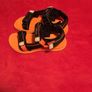 Ecco Sandals, size EU-29, UK- 11 Image 4