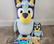 Bluey toy bundle