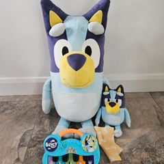 Bluey toy bundle