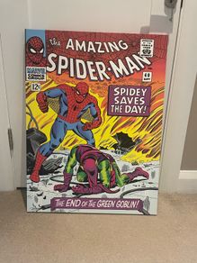 Spiderman Canvas