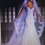 Long Chapel Length Bridal Veil Image 5