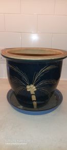 plant pots