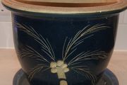 plant pots