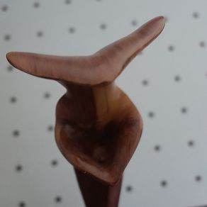 Wand - Nymphadora - Harry Potter