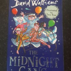 David Walliams the midnight gang