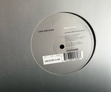 Cass & slide perception vocal mix 12" vinyl
